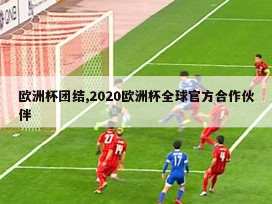 欧洲杯团结,2020欧洲杯全球官方合作伙伴