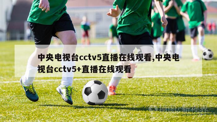 中央电视台cctv5直播在线观看,中央电视台cctv5+直播在线观看