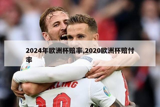 2024年欧洲杯赔率,2020欧洲杯赔付率