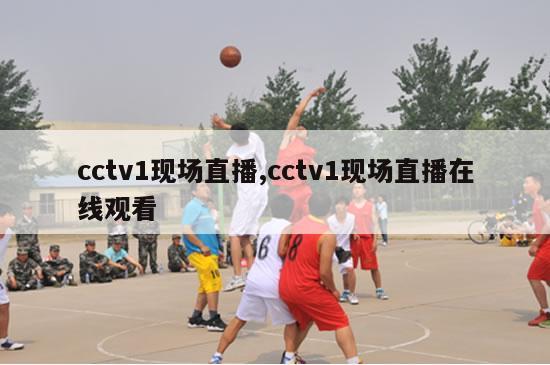 cctv1现场直播,cctv1现场直播在线观看