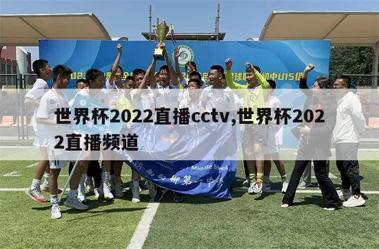 世界杯2022直播cctv,世界杯2022直播频道