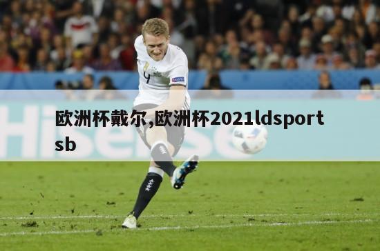 欧洲杯戴尔,欧洲杯2021ldsportsb