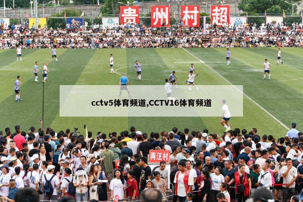 cctv5体育频道,CCTV16体育频道