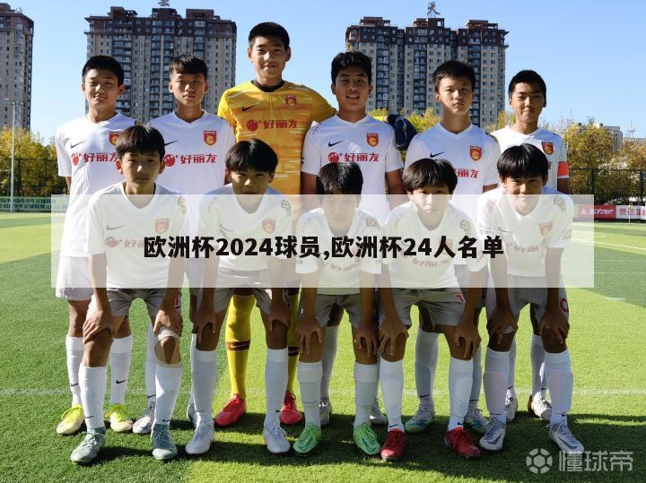 欧洲杯2024球员,欧洲杯24人名单