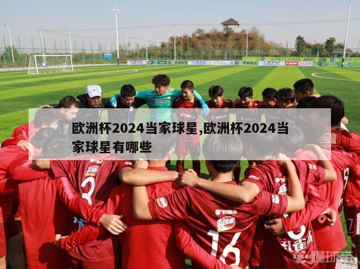 欧洲杯2024当家球星,欧洲杯2024当家球星有哪些