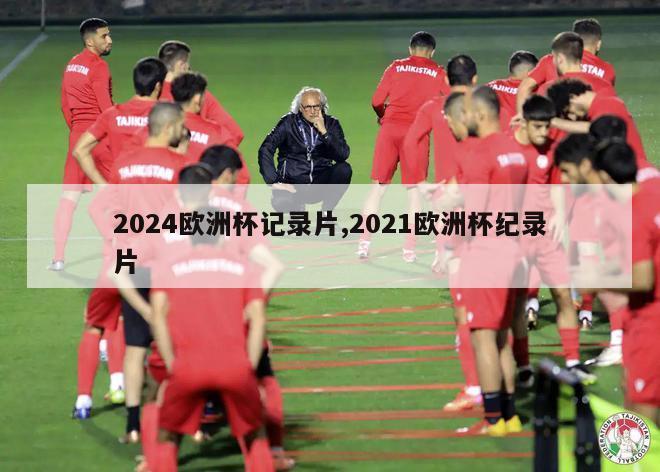 2024欧洲杯记录片,2021欧洲杯纪录片