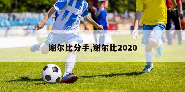 谢尔比分手,谢尔比2020