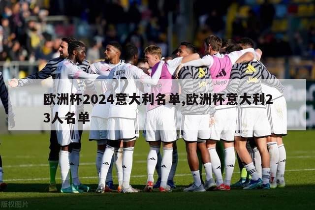 欧洲杯2024意大利名单,欧洲杯意大利23人名单