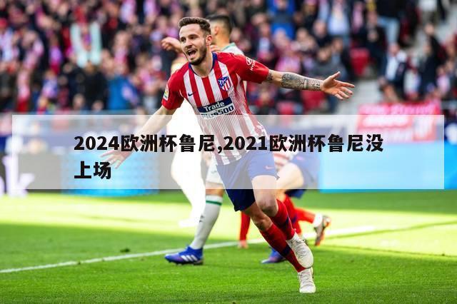 2024欧洲杯鲁尼,2021欧洲杯鲁尼没上场