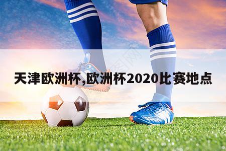 天津欧洲杯,欧洲杯2020比赛地点